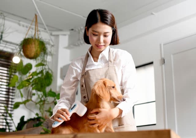 集客につながる!トリミングサロンの内装ポイントとおしゃれ事例